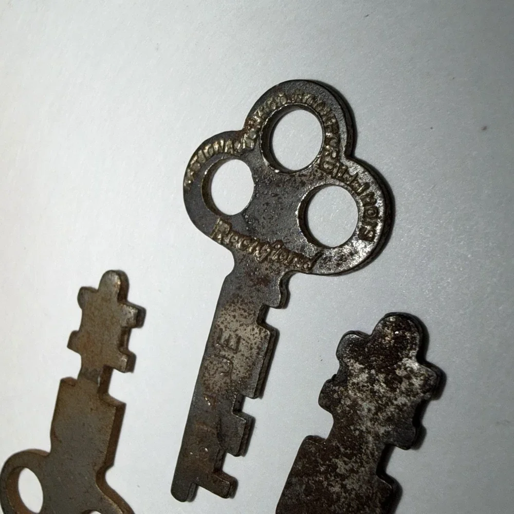 3 Trefoil Flat Skeleton Keys includes a National Lock Co Rockford, Il Steampunk